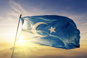 Doğu Türkistan ve Uygur Türkçesinin sorunları