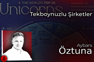 Tekboynuzlu Şirketler
