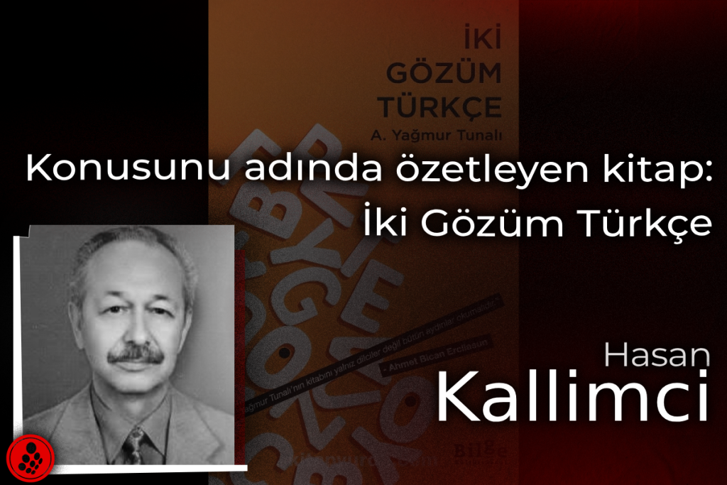 Konusunu adında özetleyen kitap: İki Gözüm Türkçe